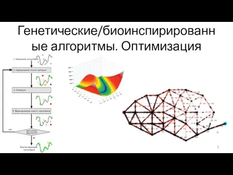 Генетические/биоинспирированные алгоритмы. Оптимизация