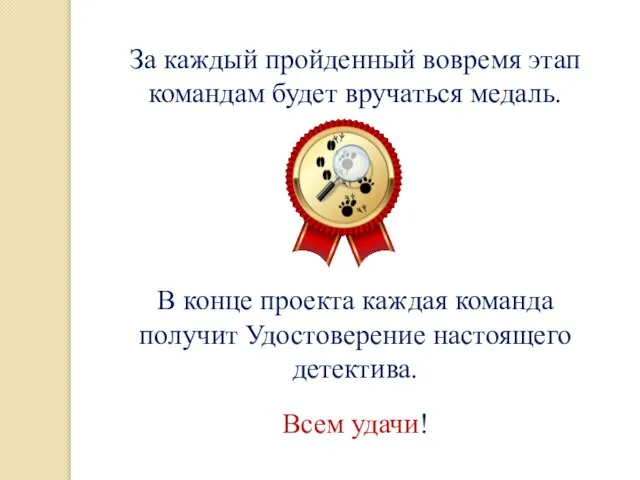 За каждый пройденный вовремя этап командам будет вручаться медаль. В конце проекта