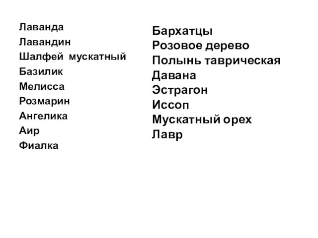 Лаванда Лавандин Шалфей мускатный Базилик Мелисса Розмарин Ангелика Аир Фиалка Бархатцы Розовое