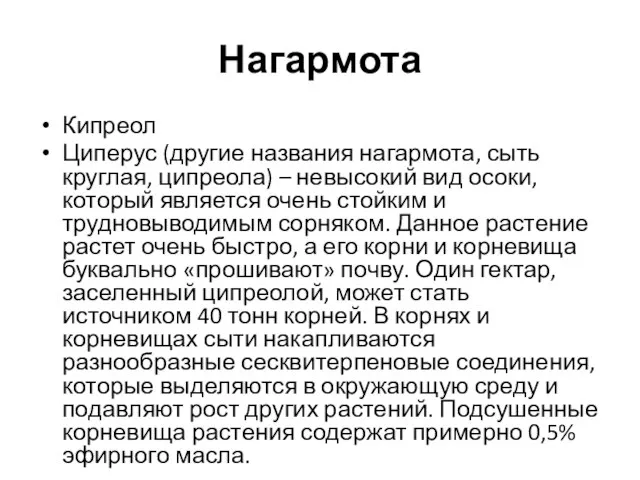 Нагармота Кипреол Циперус (другие названия нагармота, сыть круглая, ципреола) – невысокий вид