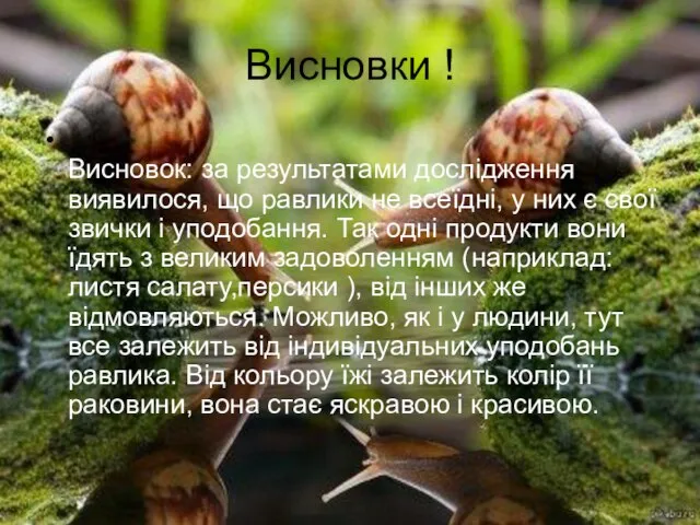 Висновки ! Висновок: за результатами дослідження виявилося, що равлики не всеїдні, у