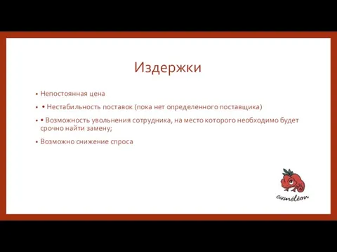 Издержки Непостоянная цена • Нестабильность поставок (пока нет определенного поставщика) • Возможность