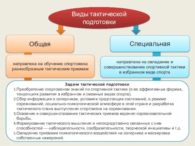 Виды тактической подготовки Общая Специальная направлена на обучение спортсмена разнообразным тактическим приемам