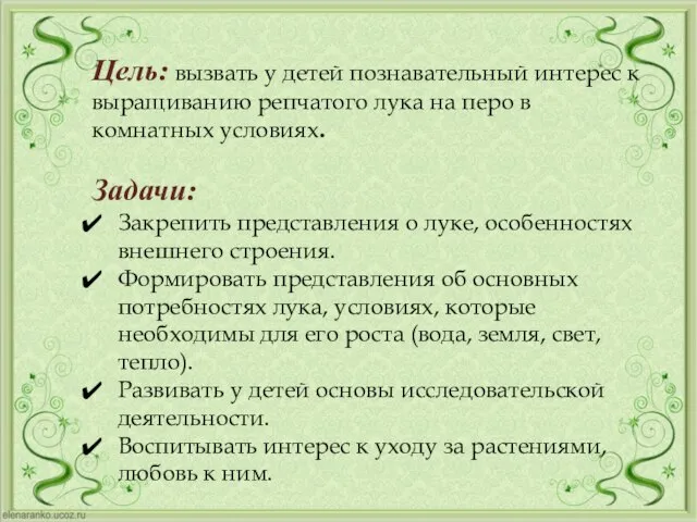 Цель: вызвать у детей познавательный интерес к выращиванию репчатого лука на перо