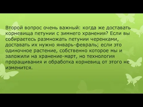 Второй вопрос очень важный: когда же доставать корневища петунии с зимнего хранения?