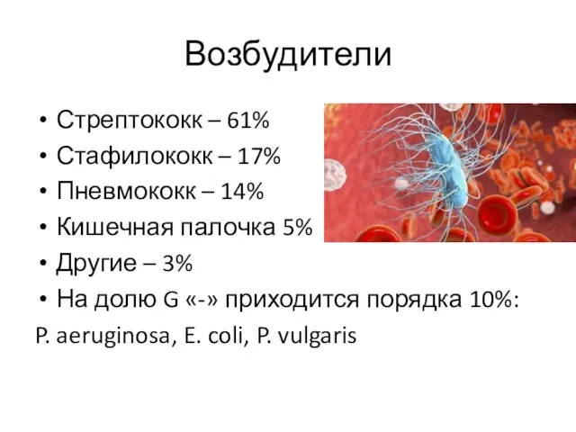 Возбудители Стрептококк – 61% Стафилококк – 17% Пневмококк – 14% Кишечная палочка