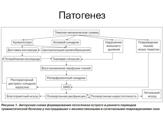 Патогенез