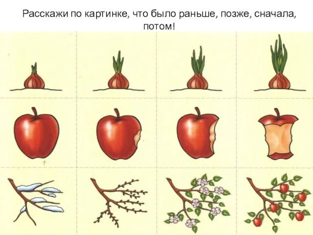 Расскажи по картинке, что было раньше, позже, сначала, потом!