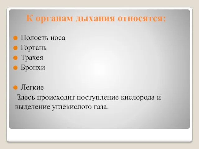 К органам дыхания относятся: Полость носа Гортань Трахея Бронхи Легкие Здесь происходит