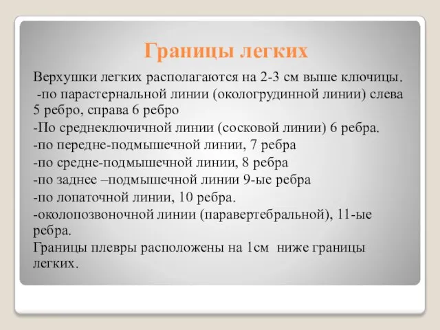 Границы легких Верхушки легких располагаются на 2-3 см выше ключицы. -по парастернальной