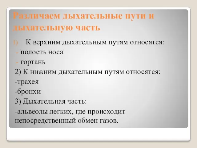 Различаем дыхательные пути и дыхательную часть К верхним дыхательным путям относятся: полость