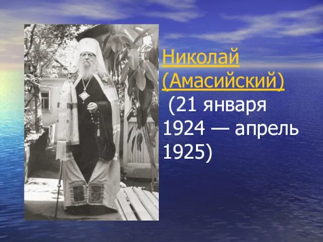 Николай (Амасийский) (21 января 1924 — апрель 1925)