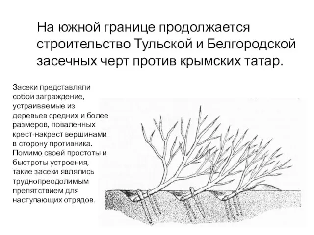 На южной границе продолжается строительство Тульской и Белгородской засечных черт против крымских