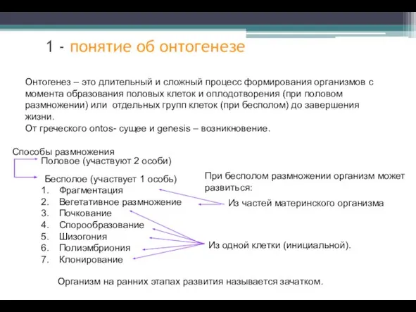 Онтогенез – это длительный и сложный процесс формирования организмов с момента образования