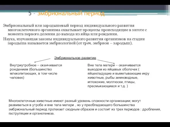 5 – эмбриональный период Эмбриональный или зародышевый период индивидуального развития многоклеточного организма