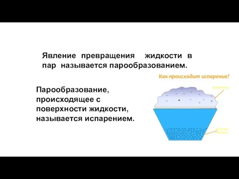 Явление превращения жидкости в пар называется парообразованием. Парообразование, происходящее с поверхности жидкости, называется испарением.