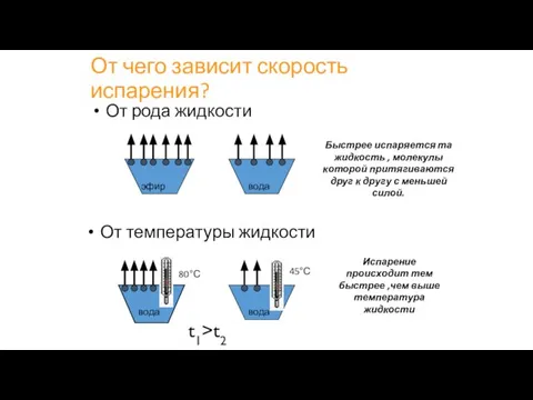 От чего зависит скорость испарения? От рода жидкости эфир вода Быстрее испаряется