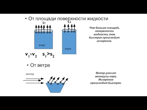 От площади поверхности жидкости вода вода v1=v2 Чем больше площадь поверхности жидкости,