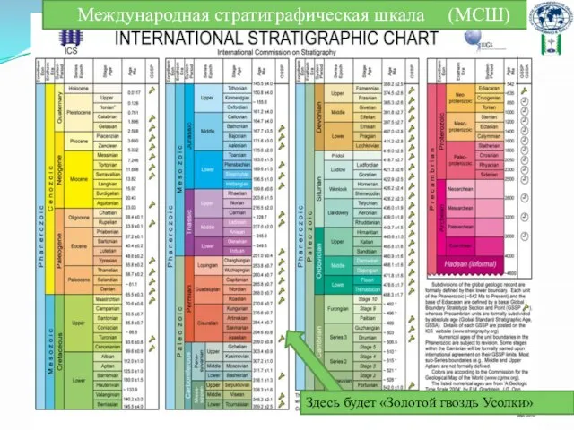 Международная стратиграфическая шкала (МСШ) Здесь будет «Золотой гвоздь Усолки»