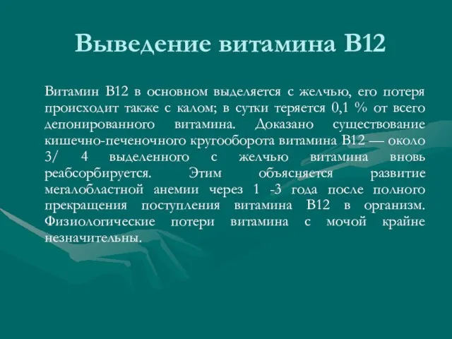 Витамин В12 в основном выделяется с желчью, его потеря происходит также с