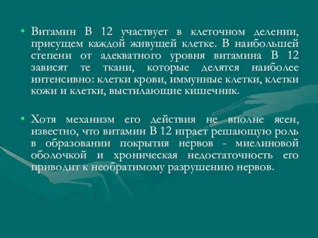 Витамин B 12 участвует в клеточном делении, присущем каждой живущей клетке. В