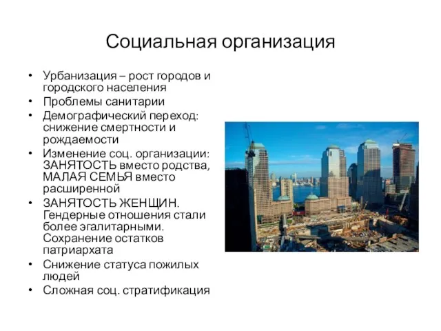 Социальная организация Урбанизация – рост городов и городского населения Проблемы санитарии Демографический