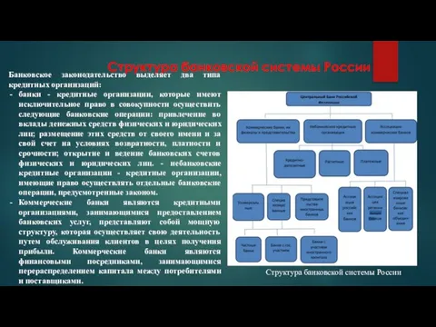 Структура банковской системы России Банковское законодательство выделяет два типа кредитных организаций: банки