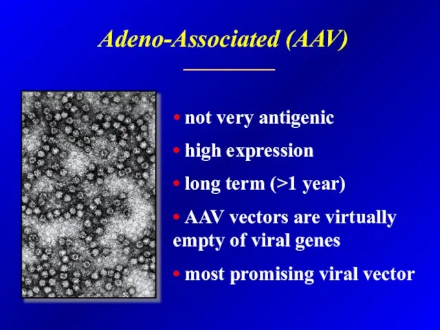Adeno-Associated (AAV) • not very antigenic • high expression • long term