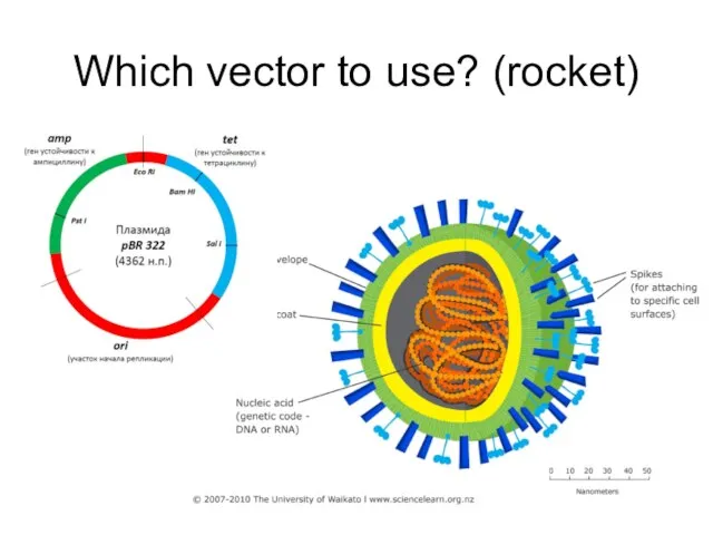 Which vector to use? (rocket)