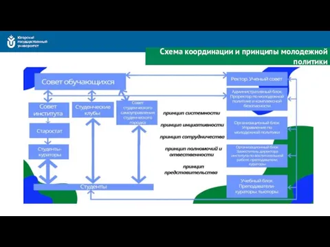 Схема координации и принципы молодежной политики