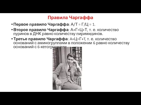 Правила Чаргаффа Первое правило Чаргаффа: А/Т = Г/Ц = 1. Второе правило