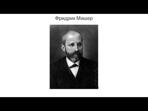 Фридрих Мишер