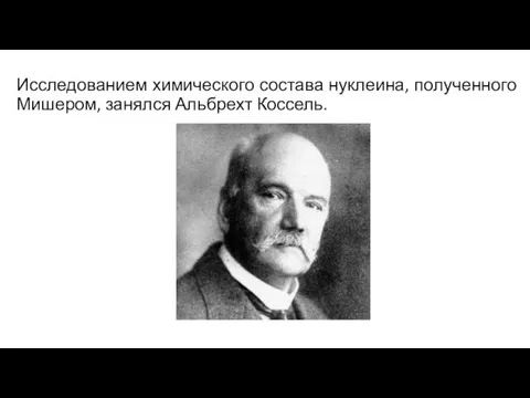 Исследованием химического состава нуклеина, полученного Мишером, занялся Альбрехт Коссель.