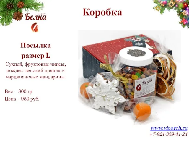 Коробка www.viporeh.ru +7-921-339-41-24 Посылка размер L Сухпай, фруктовые чипсы, рождественский пряник и