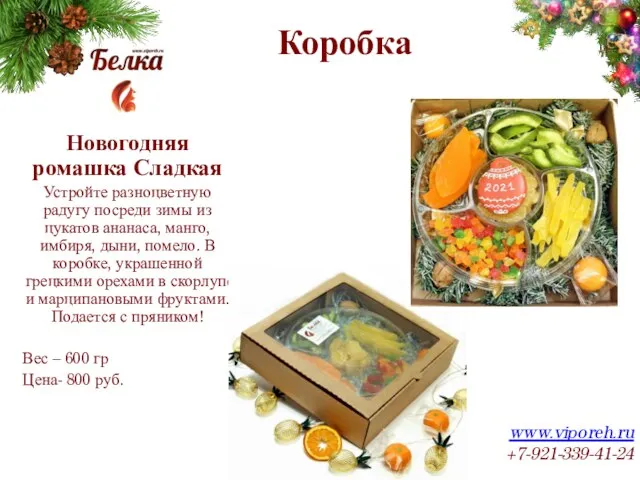 Коробка www.viporeh.ru +7-921-339-41-24 Новогодняя ромашка Сладкая Устройте разноцветную радугу посреди зимы из