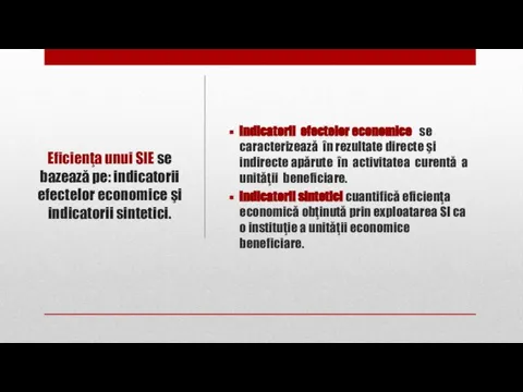 Eficienţa unui SIE se bazează pe: indicatorii efectelor economice şi indicatorii sintetici.