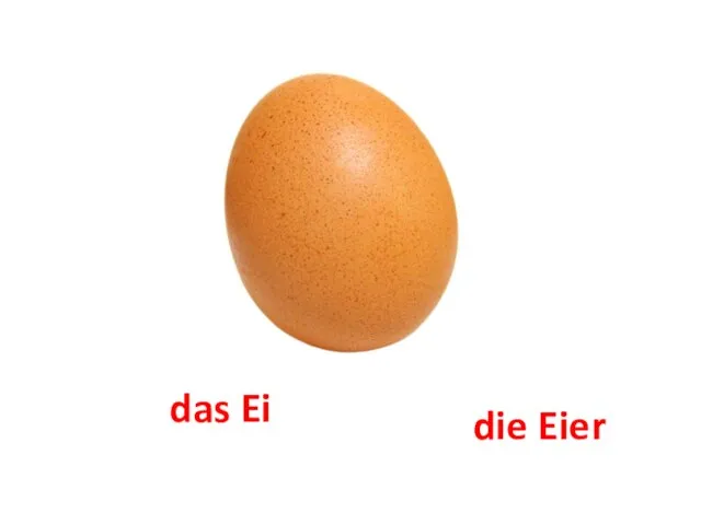 das Ei die Eier