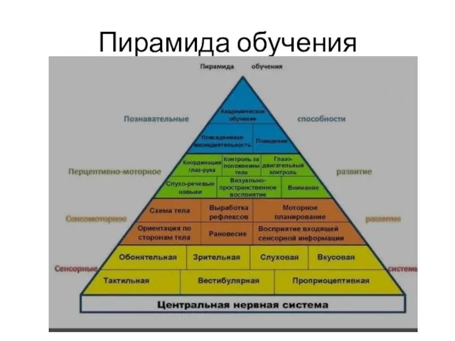 Пирамида обучения