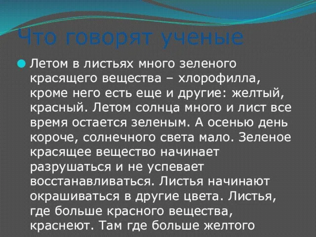 Что говорят ученые Летом в листьях много зеленого красящего вещества – хлорофилла,