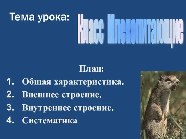 Тема урока: План: Общая характеристика. Внешнее строение. Внутреннее строение. Систематика Класс Млекопитающие