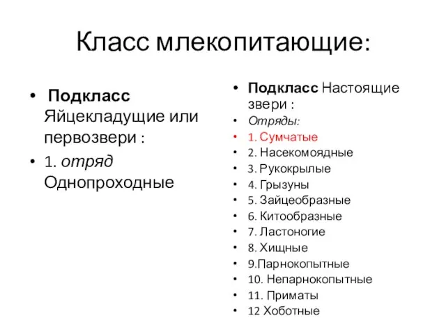 Класс млекопитающие: Подкласс Яйцекладущие или первозвери : 1. отряд Однопроходные Подкласс Настоящие