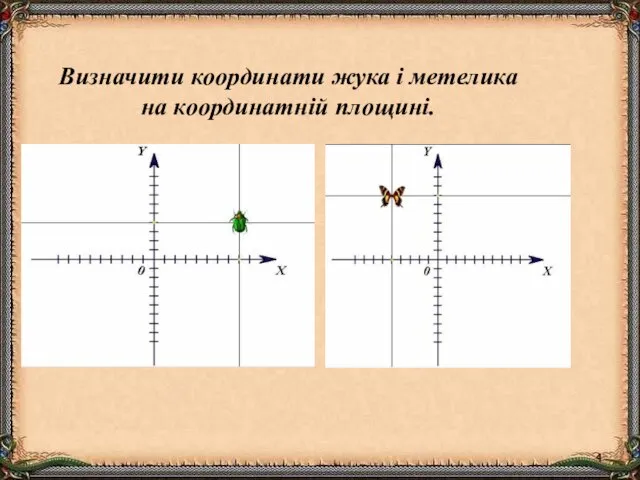 Визначити координати жука і метелика на координатній площині.