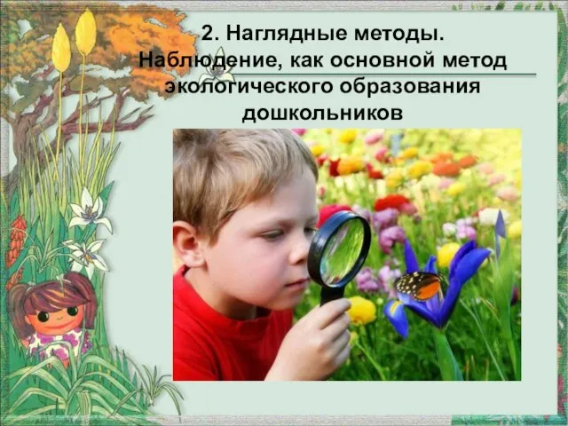 2. Наглядные методы. Наблюдение, как основной метод экологического образования дошкольников