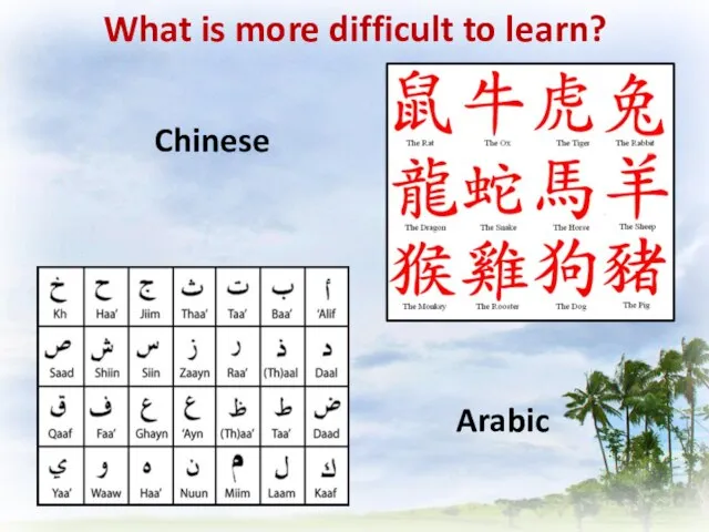 What is more difficult to learn? Arabic Chinese