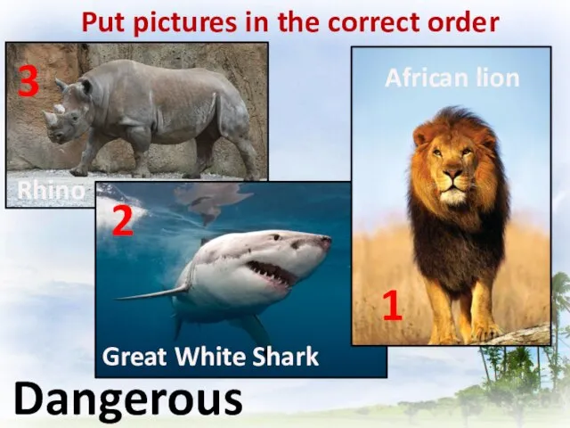 Put pictures in the correct order Dangerous Rhino Great White Shark 3 2 African lion 1