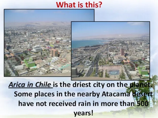 What is this? Arica in Chile is the driest city on the