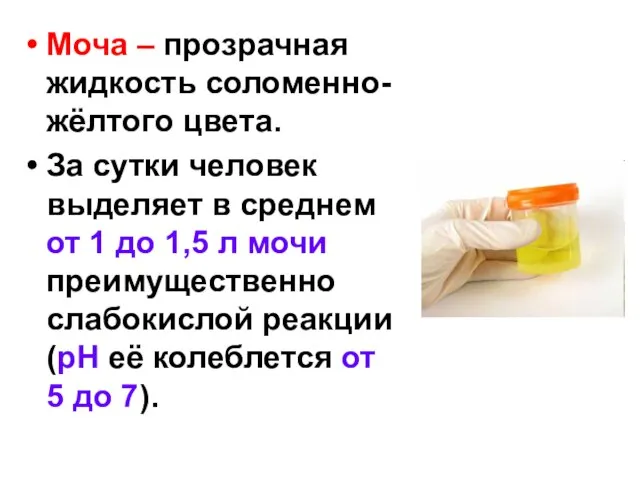 Моча – прозрачная жидкость соломенно-жёлтого цвета. За сутки человек выделяет в среднем