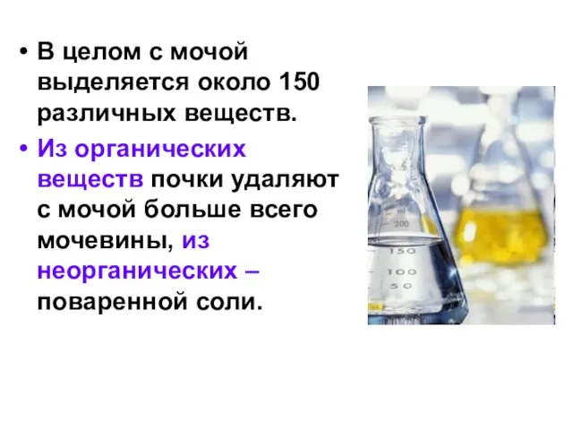 В целом с мочой выделяется около 150 различных веществ. Из органических веществ