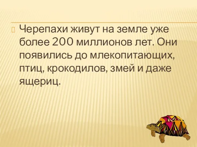 Черепахи живут на земле уже более 200 миллионов лет. Они появились до