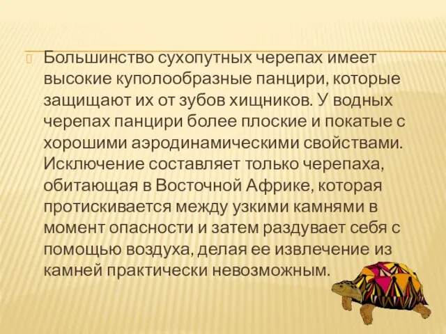 Большинство сухопутных черепах имеет высокие куполообразные панцири, которые защищают их от зубов